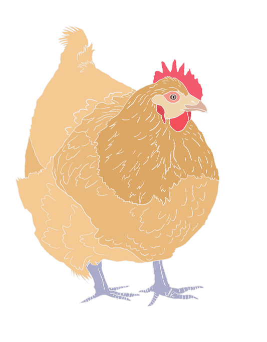 Chicken