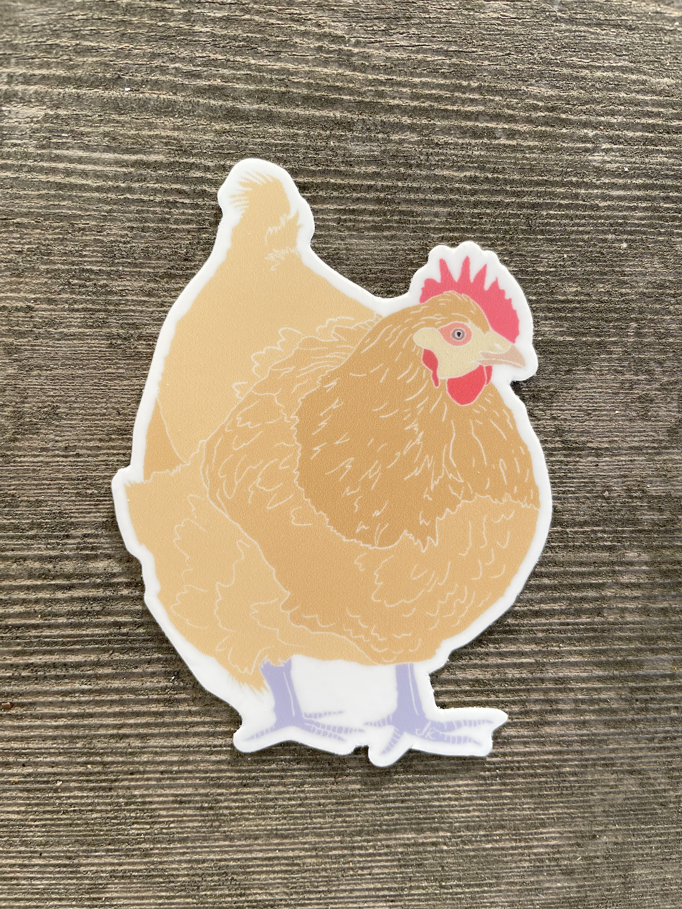 Chicken