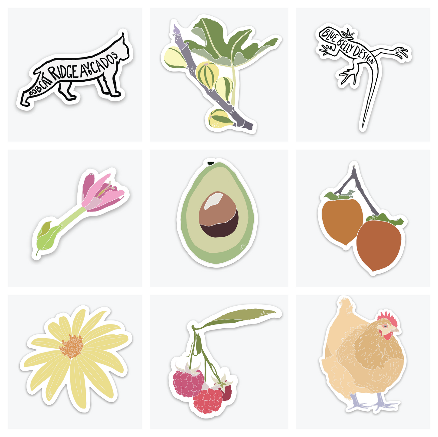 Full Bobcat Ridge Avocados Collection