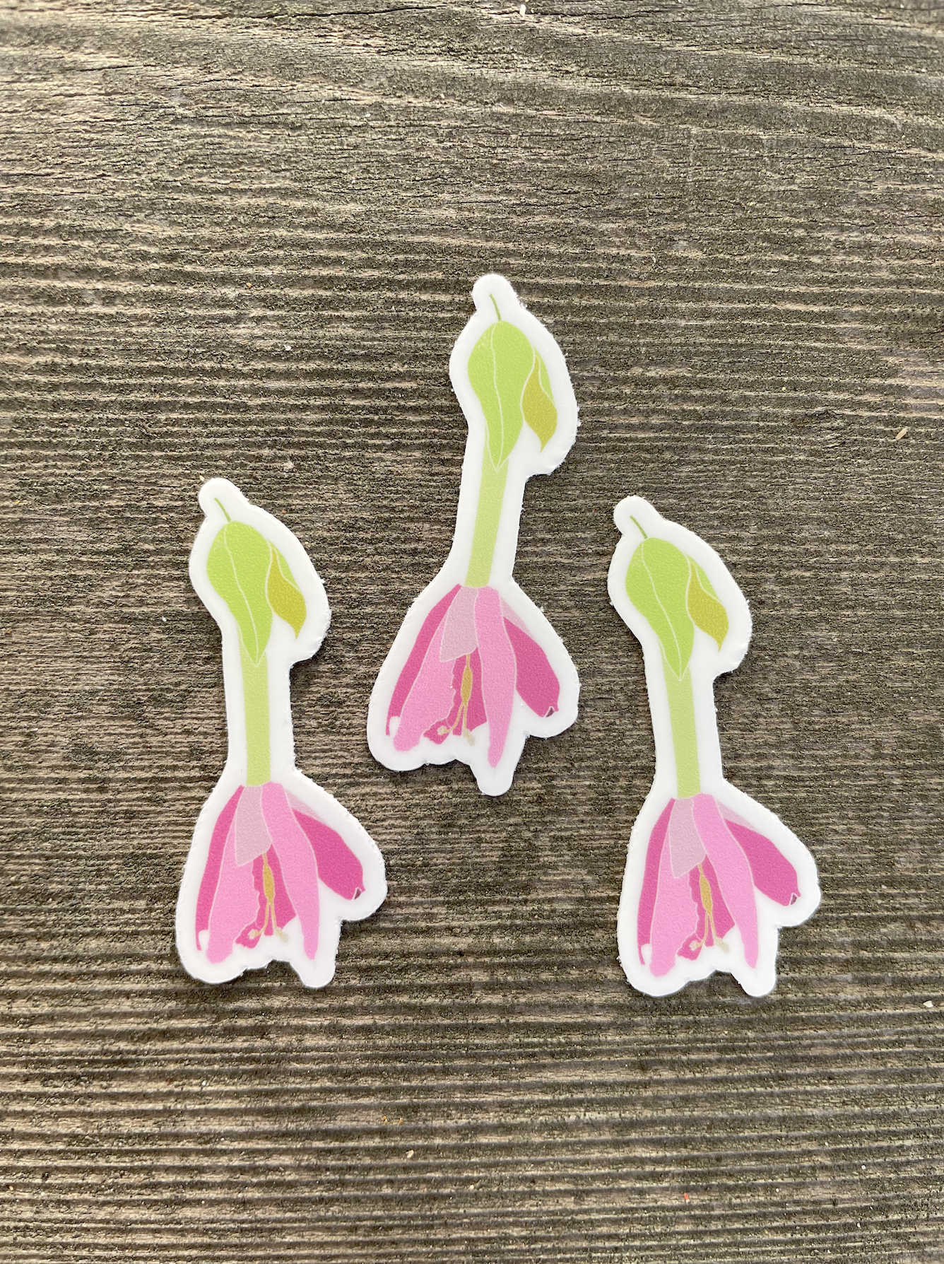 Passion Flower (3 small stickers)