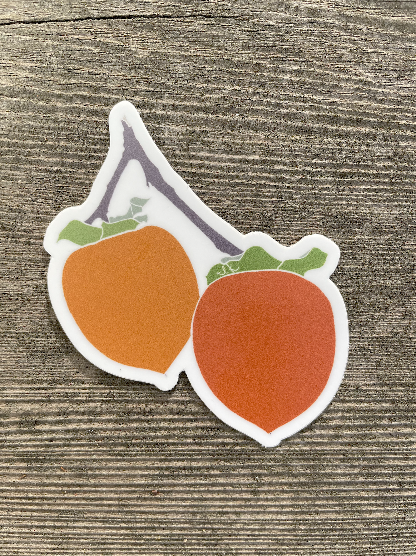 Hachiya Persimmons