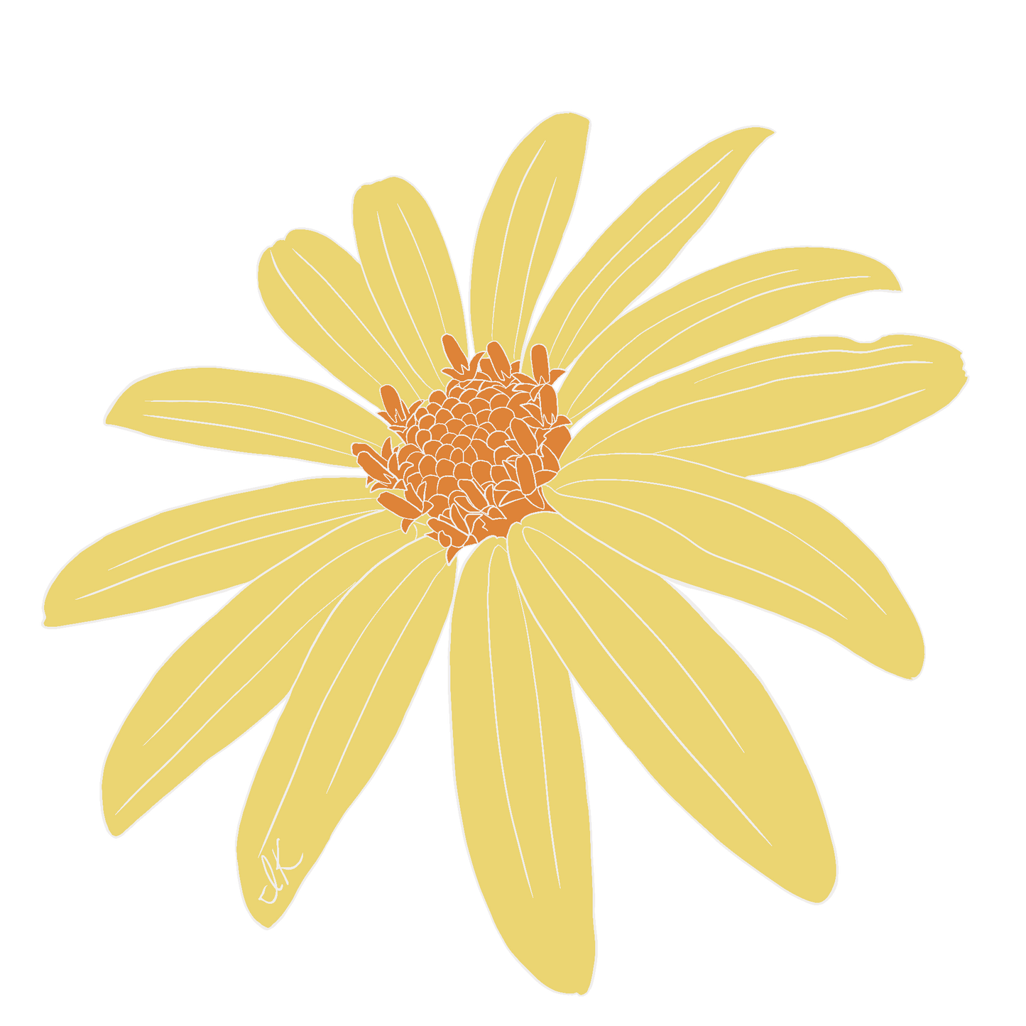 Jerusalem Artichoke Flower