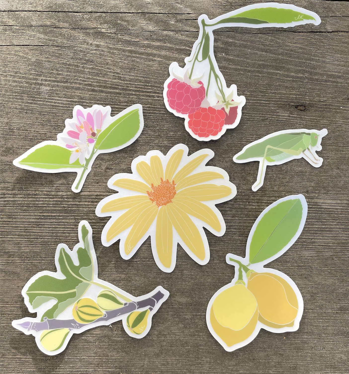 Full Transparent Spring Collection