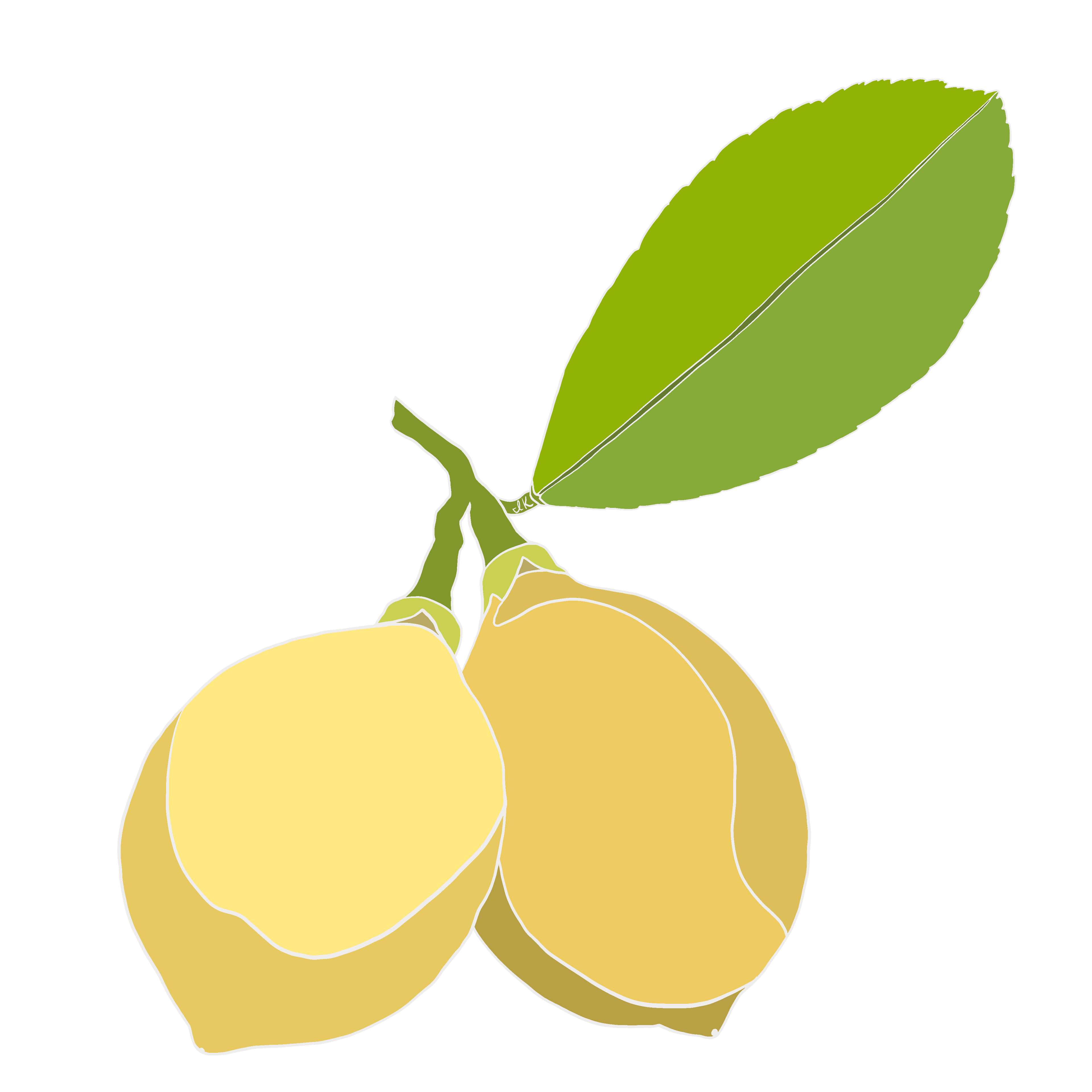 Transparent Collection