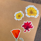 Native Flowers Sticker Sheet