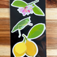 Three Pack of Transparent Stickers