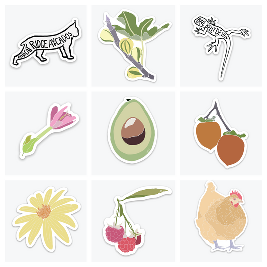 Full Bobcat Ridge Avocados Collection