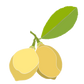 Meyer Lemon