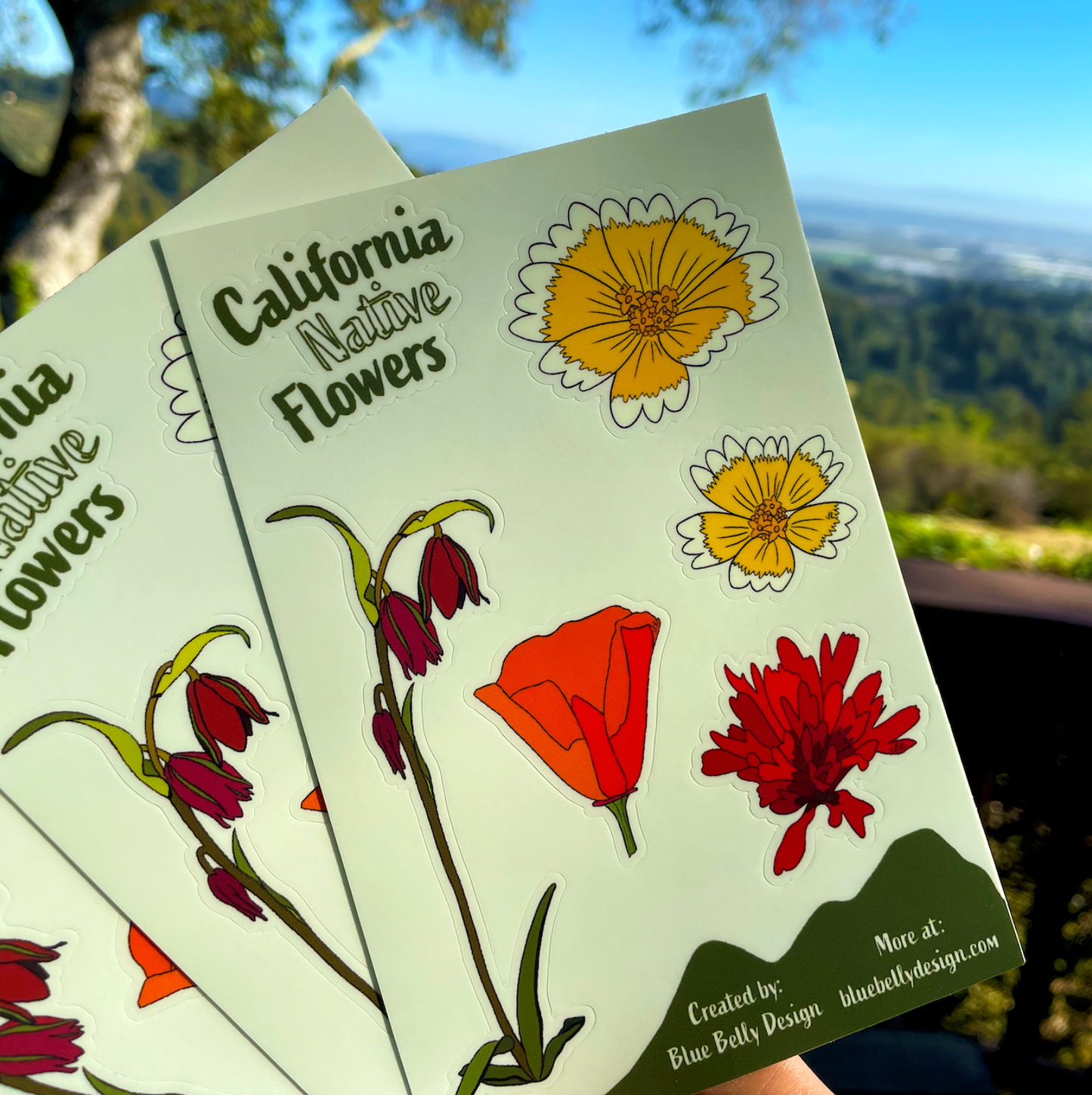 Native Flowers Sticker Sheet