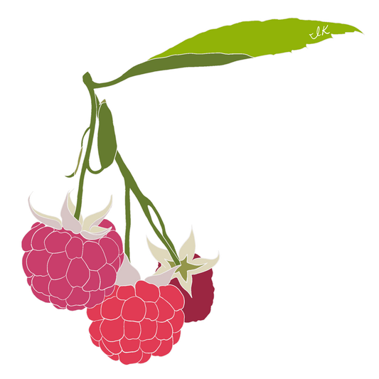 Raspberry Vine