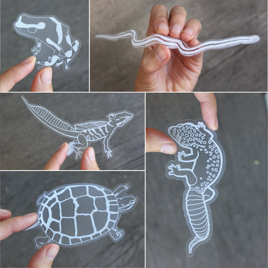 Full Reptile Collection